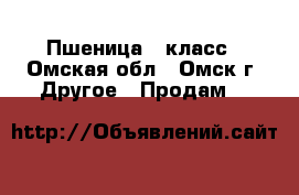 Пшеница 4 класс - Омская обл., Омск г. Другое » Продам   